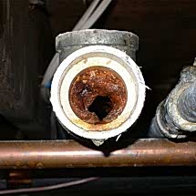 kadikoy_pimas_tikaniklik_acma